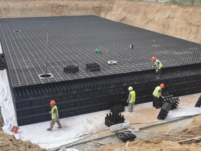 -232218565_105731308_-1582044802(1)